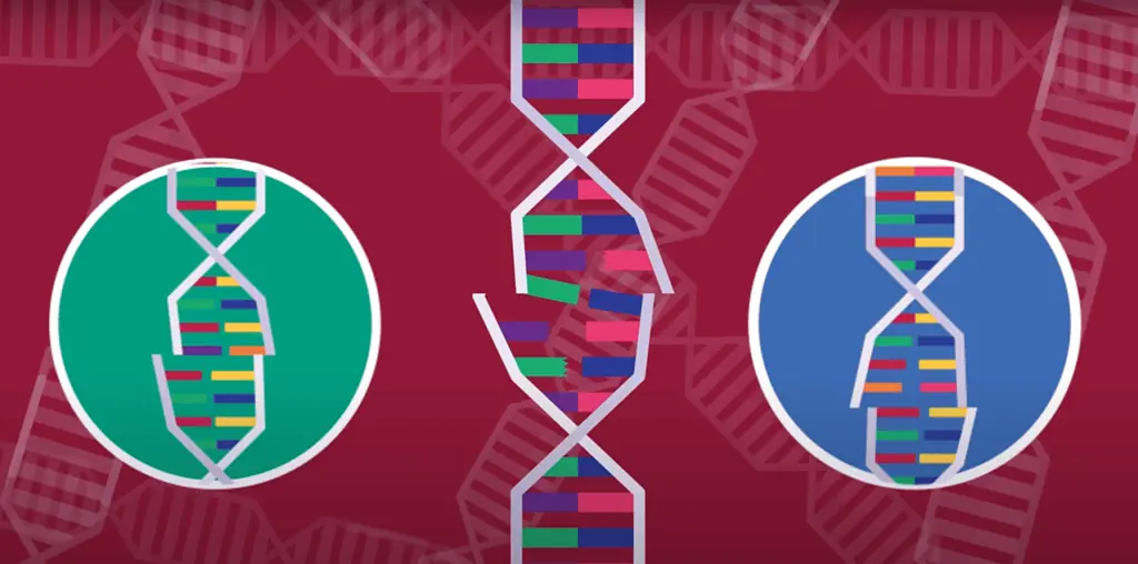 altwerden-dna1
